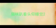 猫咪趴着头仰睡觉