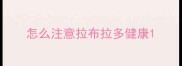 怎么注意拉布拉多健康