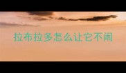 拉布拉多怎么让它不闹