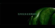 拉布拉多会流眼泪吗