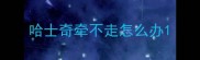 哈士奇牵不走怎么办