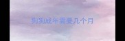 狗狗成年需要几个月