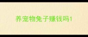 养宠物兔子赚钱吗