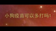 小狗疫苗可以多打吗