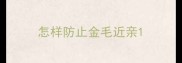 怎样防止金毛近亲