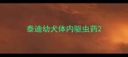 泰迪幼犬体内驱虫药