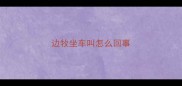 边牧坐车叫怎么回事