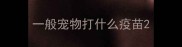 一般宠物打什么疫苗