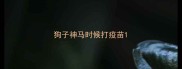 狗子神马时候打疫苗