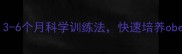 狗狗训练黄金期3-6个月科学训练法快速培养obedience懂事狗狗