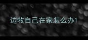 边牧自己在家怎么办