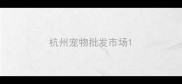 杭州宠物批发市场