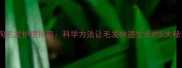狗狗毛发护理指南科学方法让毛发快速生长的5大秘诀