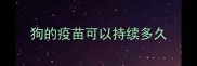 狗的疫苗可以持续多久