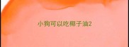 小狗可以吃椰子油