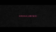 拉布拉多犬上哪才能买
