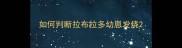 如何判断拉布拉多幼崽发烧
