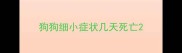 狗狗细小症状几天死亡