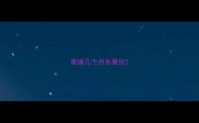 泰迪几个月长最快