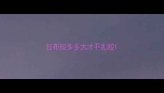 拉布拉多多大才不乱咬