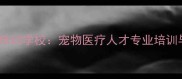 成都宠物医院培训学校宠物医疗人才专业培训与就业直通车