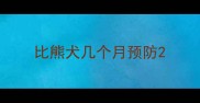 比熊犬几个月预防