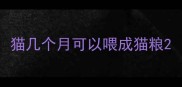 猫几个月可以喂成猫粮