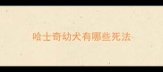 哈士奇幼犬有哪些死法