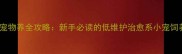 蛞蝓当宠物养全攻略新手必读的低维护治愈系小宠饲养指南