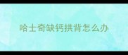 哈士奇缺钙拱背怎么办