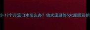 金毛犬3-12个月流口水怎么办幼犬流涎的5大原因及护理指南