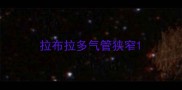 拉布拉多气管狭窄
