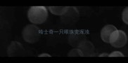 哈士奇一只眼珠变浑浊