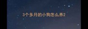 3个多月的小狗怎么养