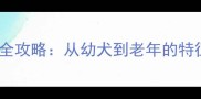 拉布拉多犬年龄判断全攻略从幼犬到老年的特征与寿命养宠必看