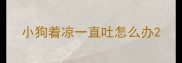 小狗着凉一直吐怎么办