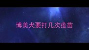 博美犬要打几次疫苗