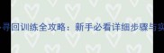 拉布拉多寻回训练全攻略新手必看详细步骤与实操技巧