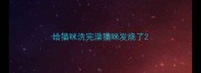 给猫咪洗完澡猫咪发烧了