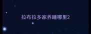 拉布拉多家养睡哪里