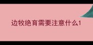 边牧绝育需要注意什么