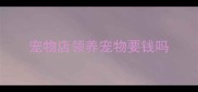 宠物店领养宠物要钱吗