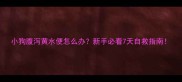 小狗腹泻黄水便怎么办新手必看7天自救指南