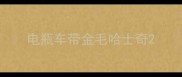 电瓶车带金毛哈士奇