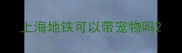 上海地铁可以带宠物吗