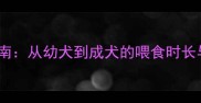 哈士奇全生命周期狗粮喂养指南从幼犬到成犬的喂食时长与营养配比附科学喂养表