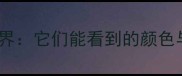 狗狗眼中的世界它们能看到的颜色与行为反应