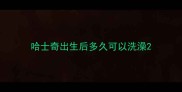 哈士奇出生后多久可以洗澡