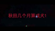 秋田几个月算成犬