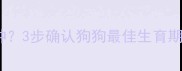 疫苗后多久能配种3步确认狗狗最佳生育期母犬配种全攻略